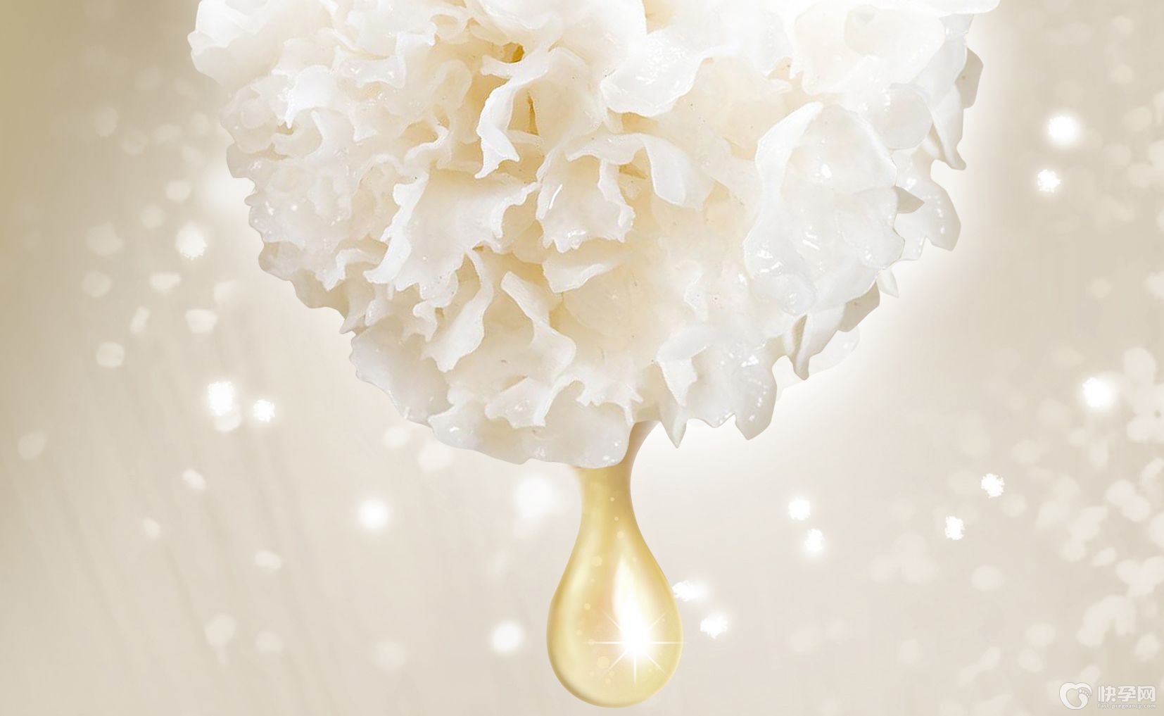 银耳多糖的作用与功效有哪些？什么是银耳多糖？