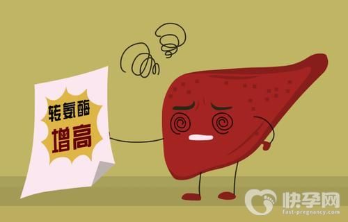转氨酶偏高怎么快速降下来？导致转氨酶升高的原因