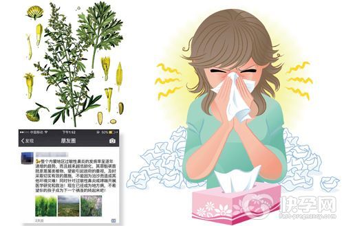 沙蒿过敏性鼻炎有哪些症状？要如何缓解？