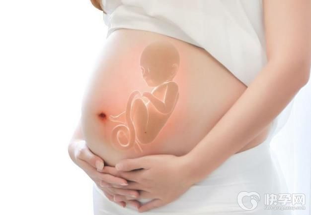 2025年生四胎有什么补贴政策吗？补贴政策有什么目的？