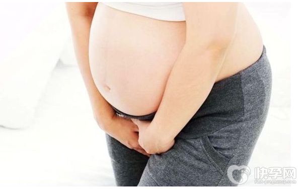 在成都社保局申请生育津贴需要单位证明吗？