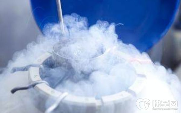 山大生殖做试管移植后剩余胚胎冷冻一年需要多少钱？