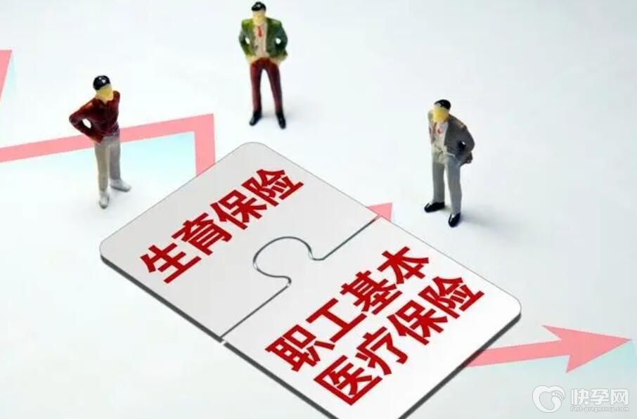 生育保险怎么查询缴费明细多少钱？