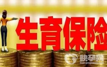 生育保险待遇支付标准是多少？