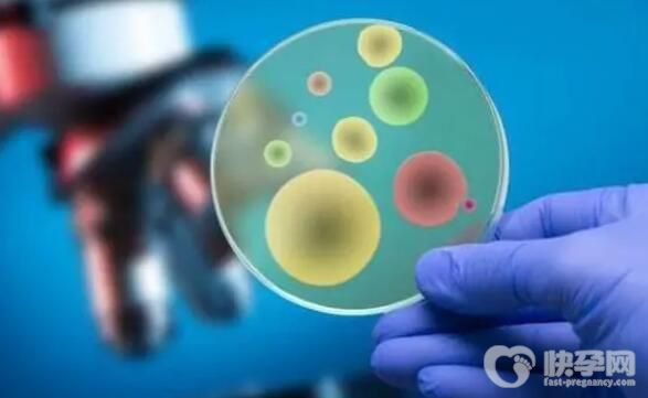 2024郴州三代试管男孩费用成功率高吗？