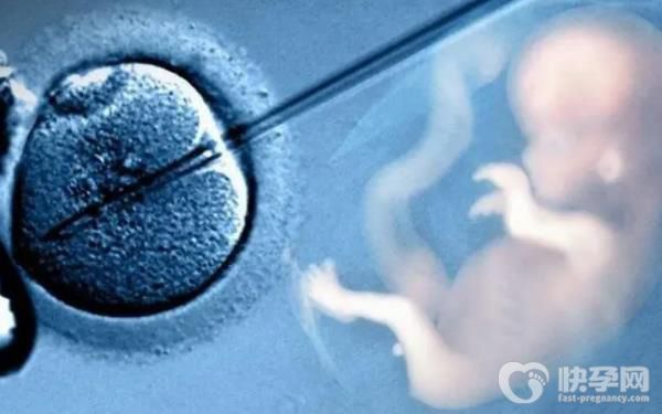 农村户口做试管婴儿会有补贴吗？