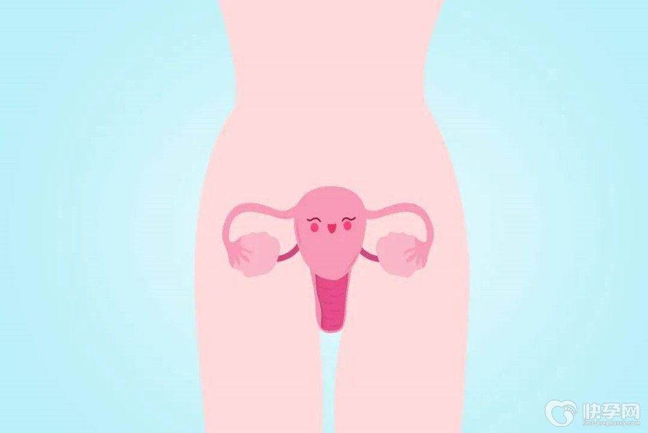 4个产后缩阴的好方法，让你告别松弛烦恼