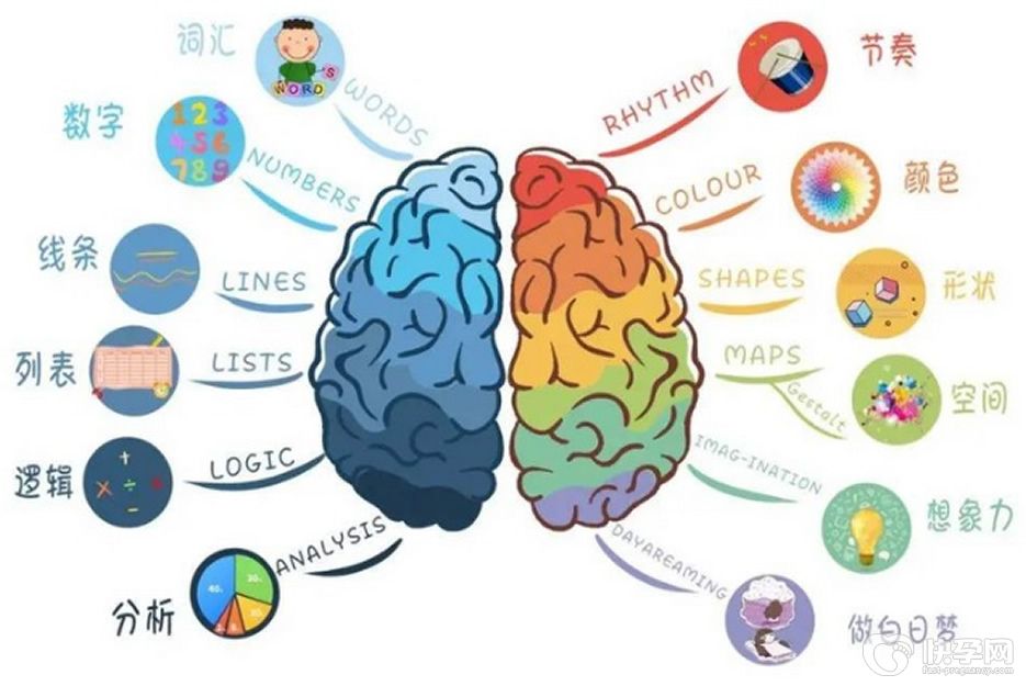 孩子智商与两个方面有关系，0-3岁做好前期智力开发很关键