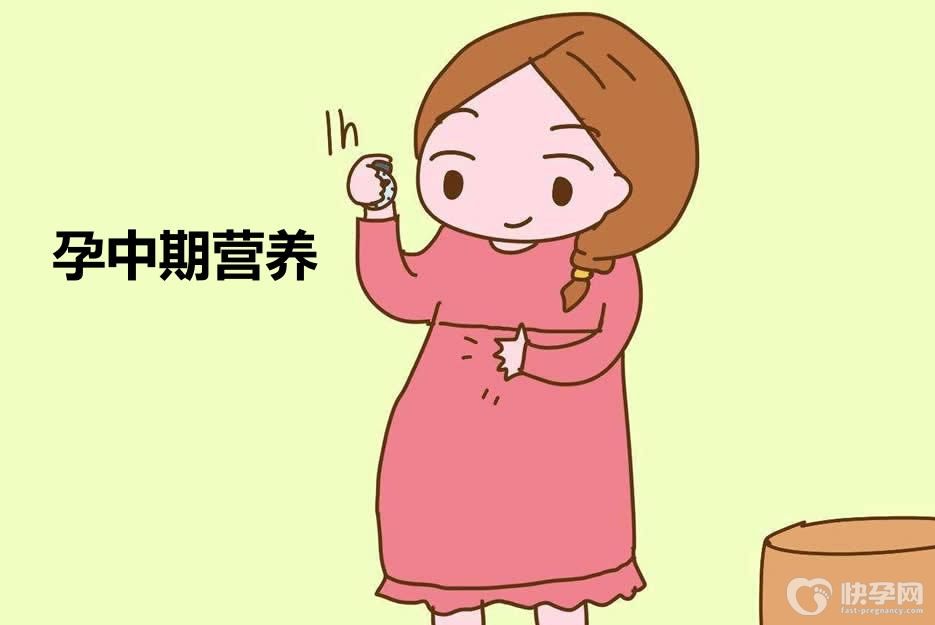 孕中期营养-荤素兼备、粗细搭配，食物品种多样化