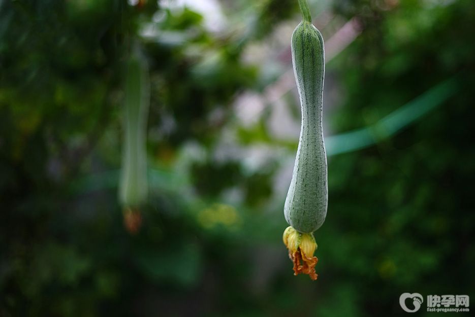8种催奶下奶快的食物，让奶水不足的妈妈不再苦恼