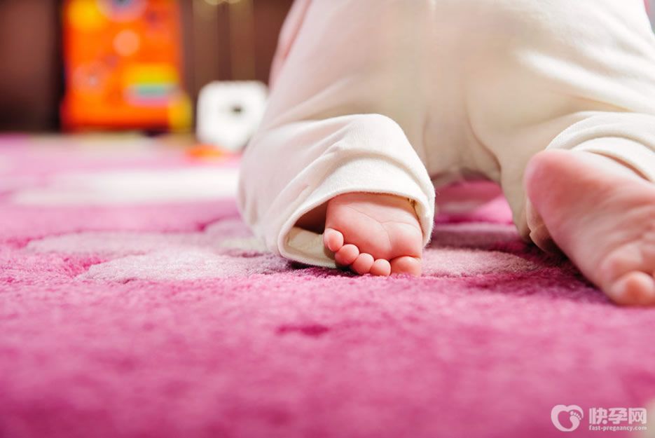 八个月宝宝如何早教，记住要六个方面均衡发展