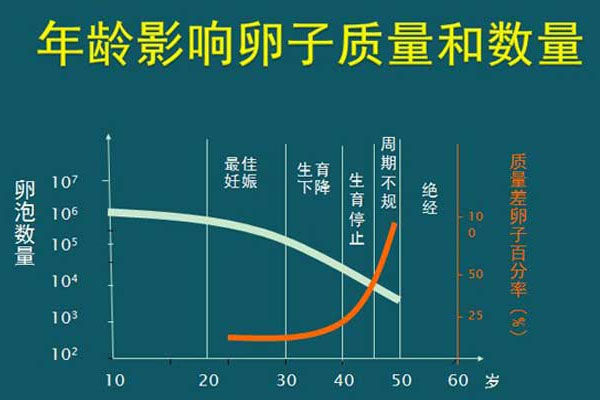 影响排卵以及备孕的小细节，你必须要了解