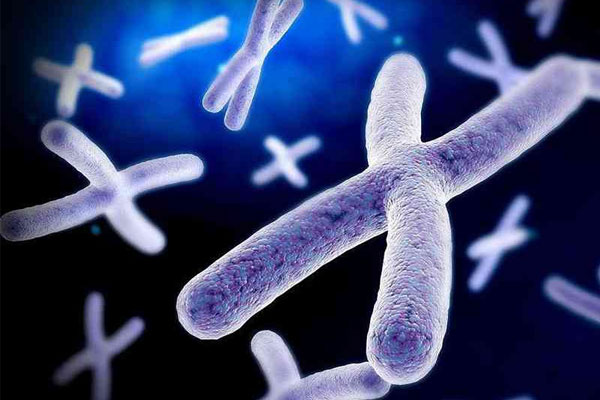 生男生女由谁决定性别?其实女性这一处早已暗示！