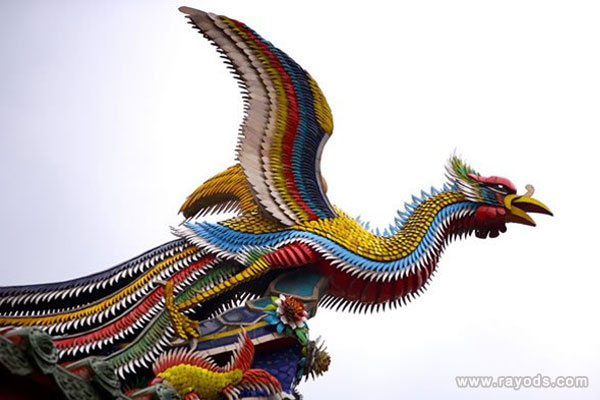 孕妇梦见凤凰是什么意思有什么预兆