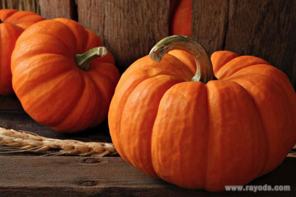 孕妇梦见南瓜是什么意思有什么预兆