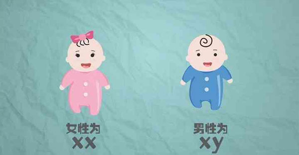 胎心率辨别胎儿性别的方法到底准不准确?