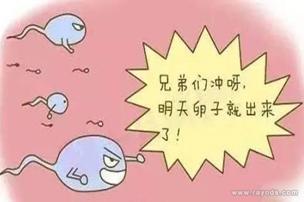 女性排卵期要怎么计算？女性排卵期的症状表现是什么？