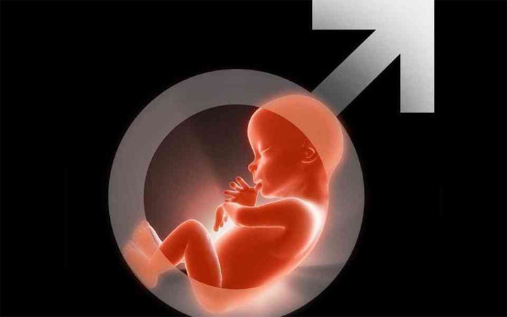 生儿子的科学饮食方法 怎么提高生儿子的几率