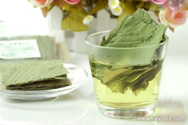 怀孕可以喝荷叶茶吗？喝荷叶茶需要注意什么？