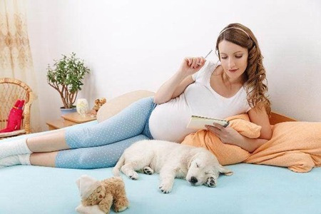 孕妇可以喝菊花茶吗，哪些食用禁忌你一定要知道