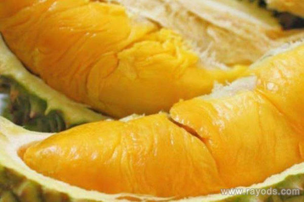 孕妇可以吃榴莲吗？孕妇吃榴莲注意事项