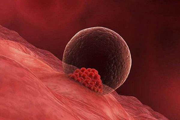 40岁高龄备孕做三代试管促排卵多少个正常？