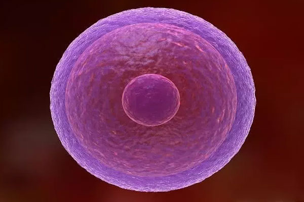 怀孕第一信号看内裤 着床成功后内裤会很干净吗