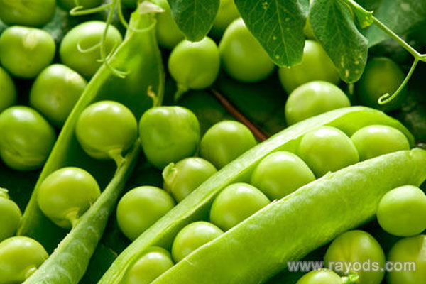 孕妇能不能吃豌豆？孕妇吃豌豆的功效与作用