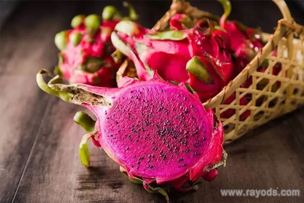 孕妇能不能吃火龙果？孕期可以适当吃火龙果其好处不少