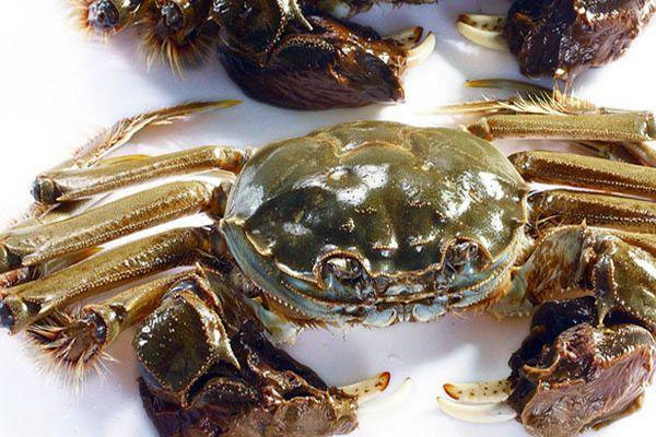 河蟹孕妈可以吃吗？河蟹营养价值高吗？