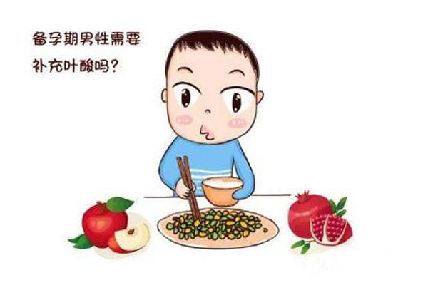 男性在备孕期间吃叶酸片的作用有什么呢？