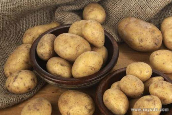 孕妇梦见土豆是什么意思有什么预兆