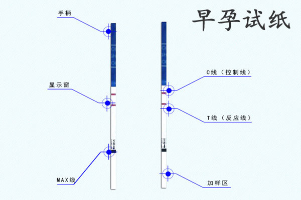 早孕试纸灵敏度排名，六个品牌的早孕试纸快收藏备用