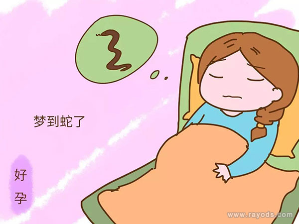 梦见蛇和怀孕有关系吗？是要怀孕了可信吗？