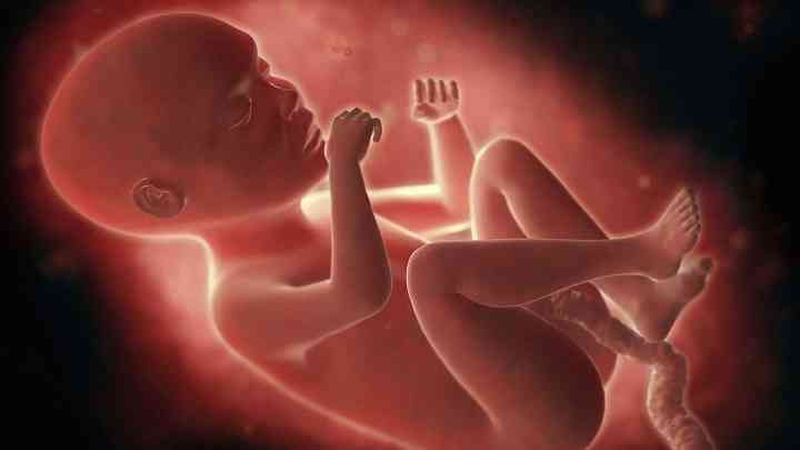 怎么分辨胎儿的性别？五个方法孕妈要知道
