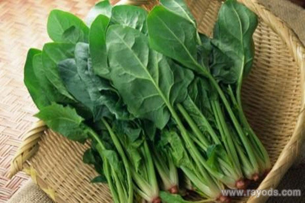 孕妇吃菠菜胎儿真的会变傻吗，一起来看看具体怎么回事