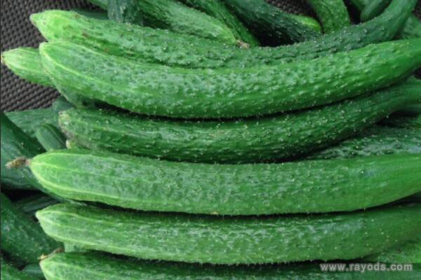 孕妇梦见黄瓜是什么意思有什么预兆