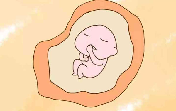 胎心率与性别有什么关系?胎心率快是不是女儿