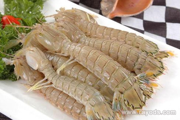 孕妈可以吃皮皮虾吗？吃皮皮虾有什么注意事项？