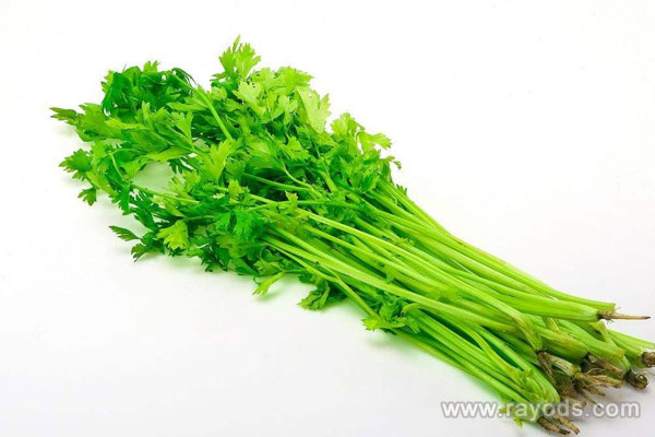 孕妇能不能吃芹菜？孕妇吃芹菜有什么好处？