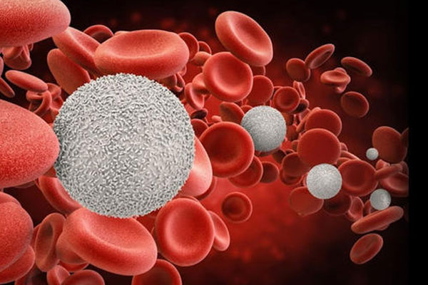 白细胞偏高的原因有哪些