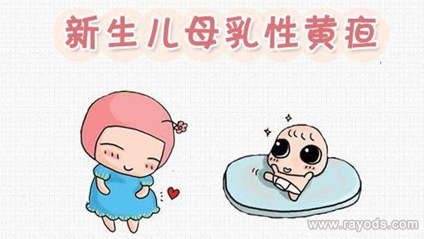 母乳黄疸怎么确定,母乳黄疸的表现症状
