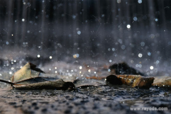 孕妇梦见下雨是什么意思有什么预兆