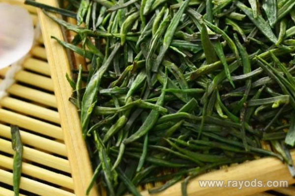 孕妈妈喝毛尖茶好不好？毛尖茶的主要营养价值介绍