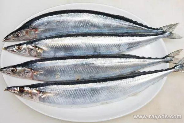孕妇能不能吃秋刀鱼？烧烤秋刀鱼可以吃吗？