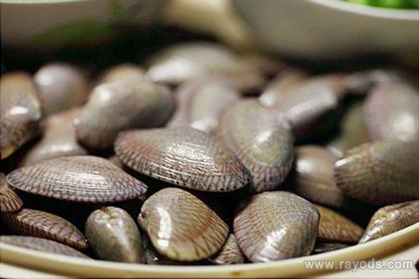 孕妇能吃花甲吗 怀孕吃花甲会不会流产