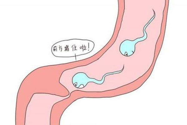 更年期的女性能不能备孕？做好这五点也能成功生育