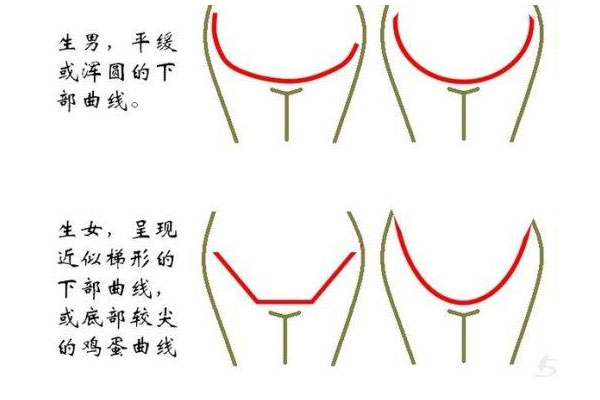 5个月肚型看男女是真的吗?怎么才可以看出生男生女