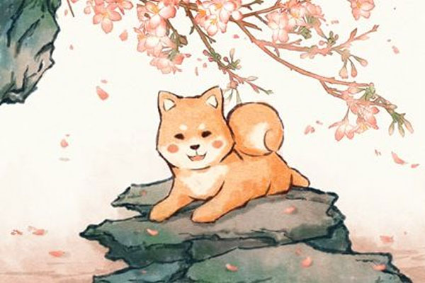 2022年虎年清宫图生男生女表怎么计算