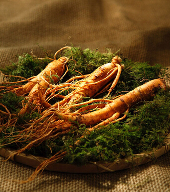 备孕注意事项 备孕时的饮食禁忌